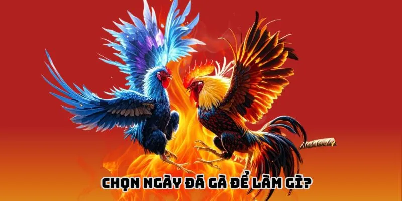 Lựa được thời điểm thi đấu mang lại nhiều vận may