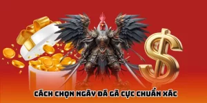 Avt cách chọn ngày đá gà tại ww88