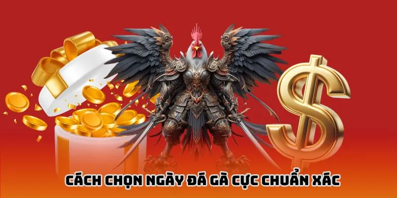 Cách chọn thời điểm thi đấu chuẩn xác nhất