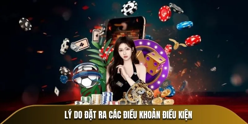 Lý do đặt ra các điều khoản điều kiện
