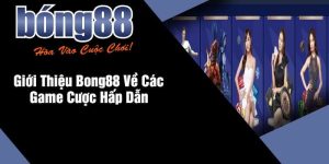Avt bong88 tại ww88